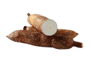 cassava1 removebg preview