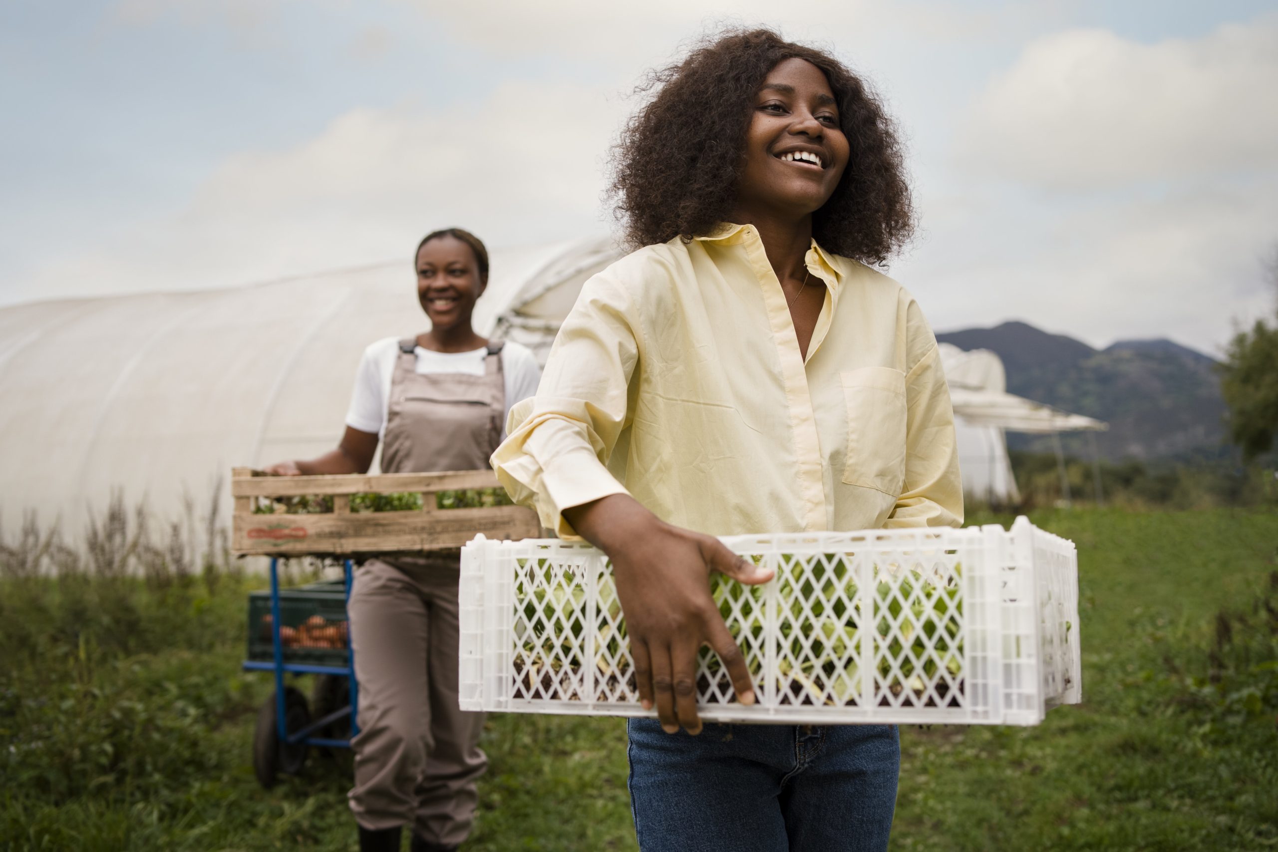 women working together front vie