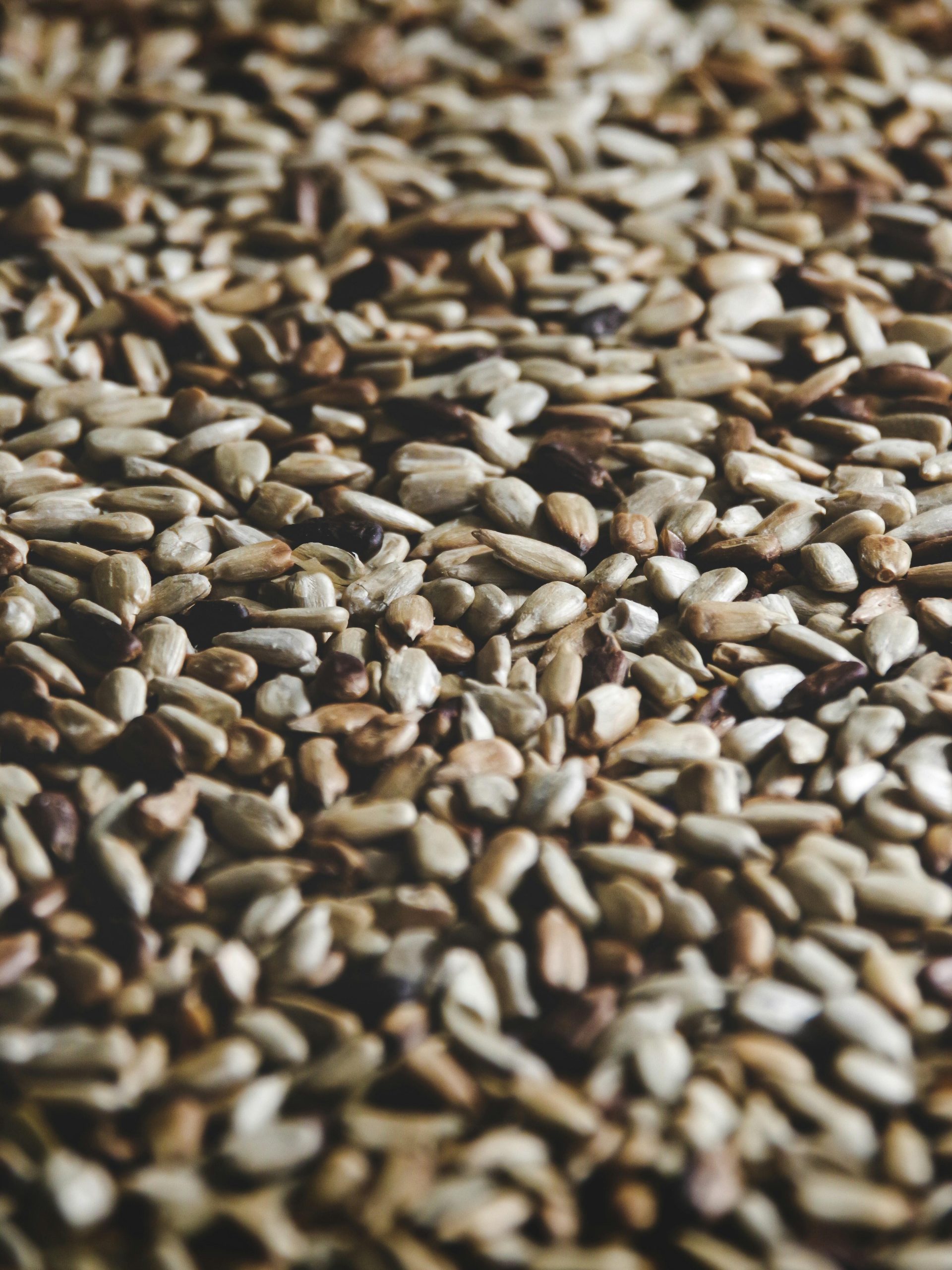 sesame