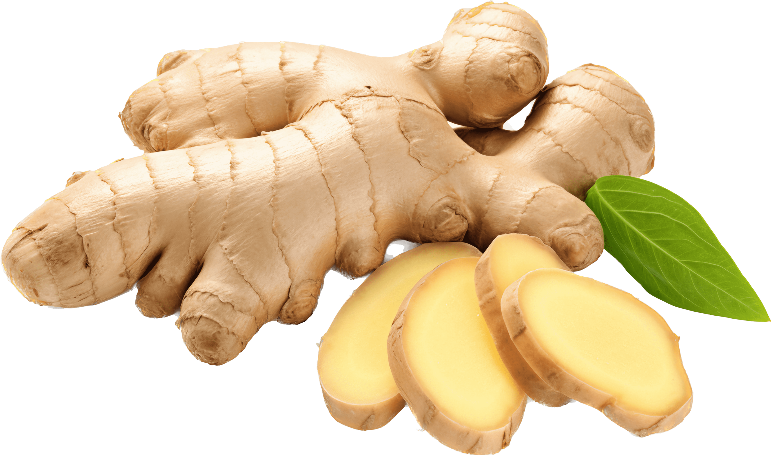 vecteezy ginger png with ai gene