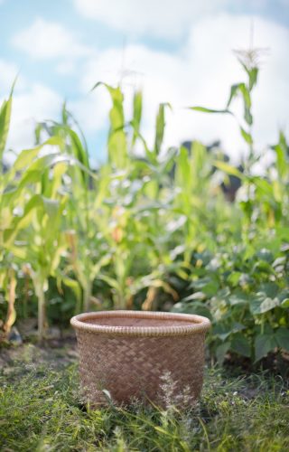 jillwellington basket 554095 (1)