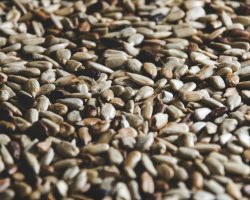 sesame